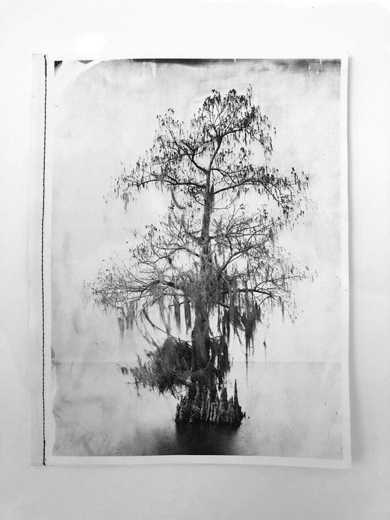 cole caswell colecaswell artist book