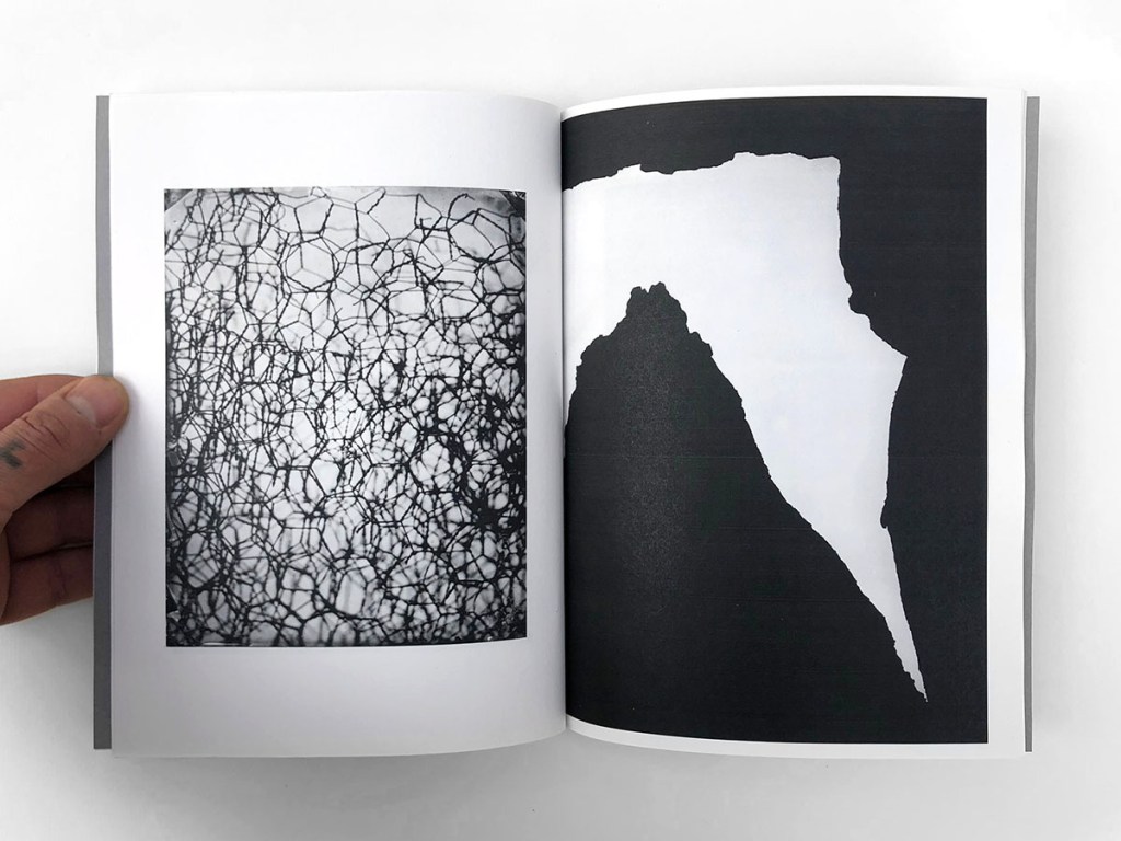 cole caswell colecaswell artist book