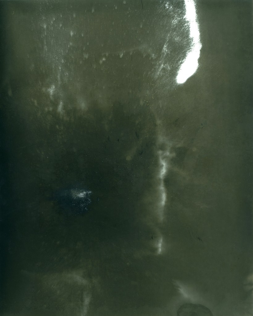 cole caswell colecaswell source everglades