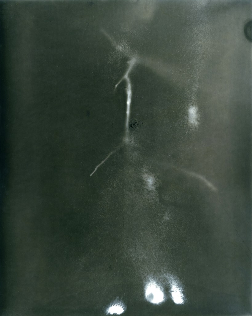 cole caswell colecaswell source everglades