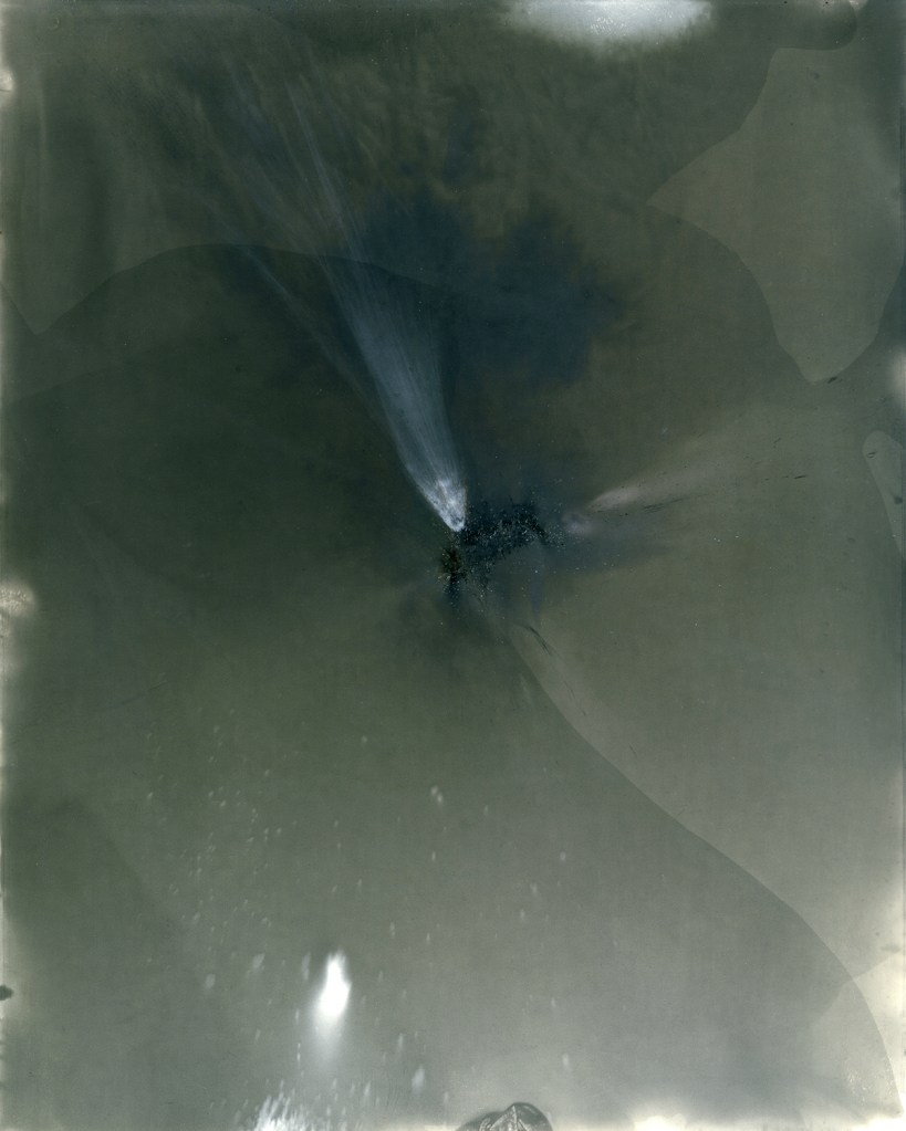 cole caswell colecaswell source everglades