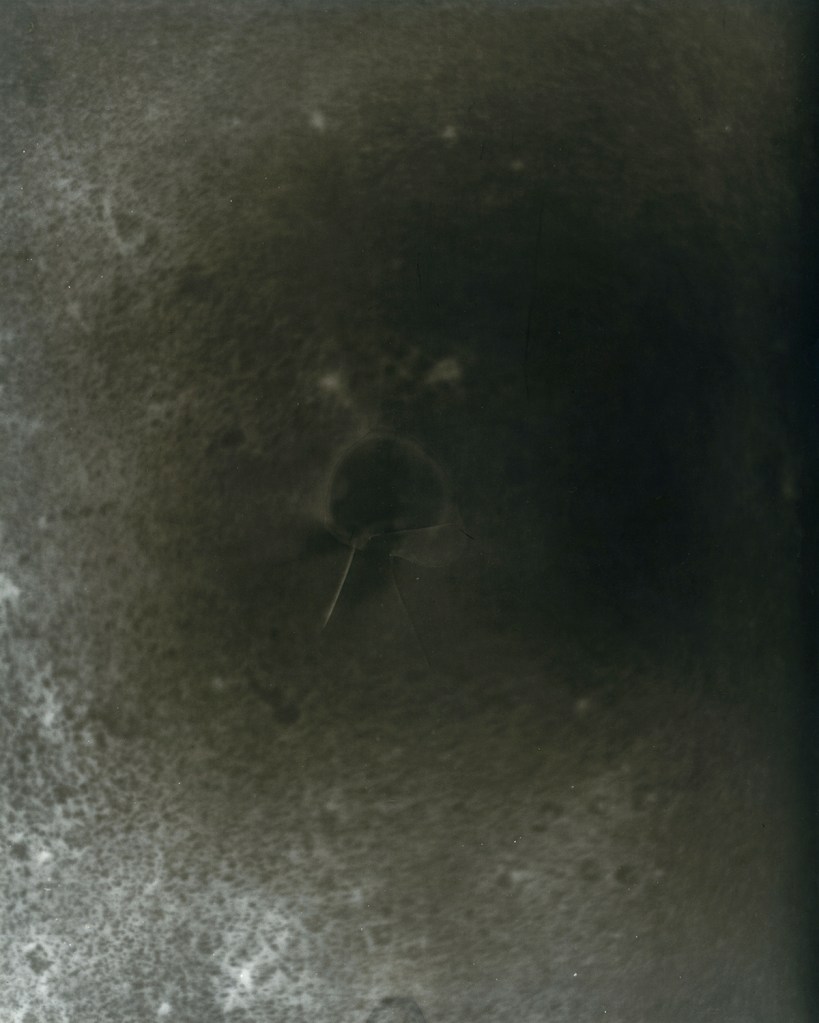 cole caswell colecaswell source everglades