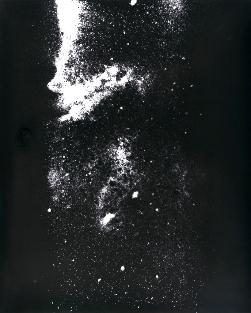 cole caswell colecaswell source everglades